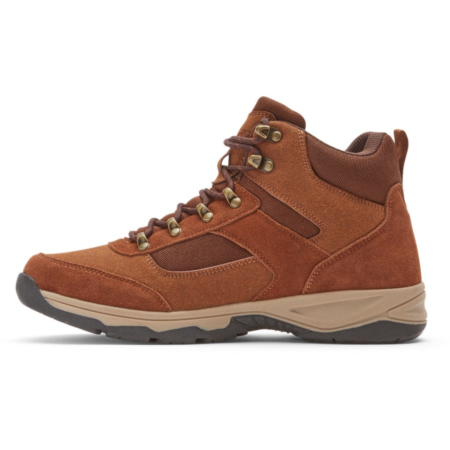 Bota De Caminhada Dickinson Masculina Rockport Bronzeada