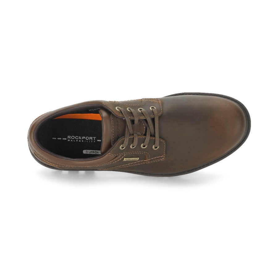 Rockport Masculino Tempestade Dedo Simples Oxford Tan